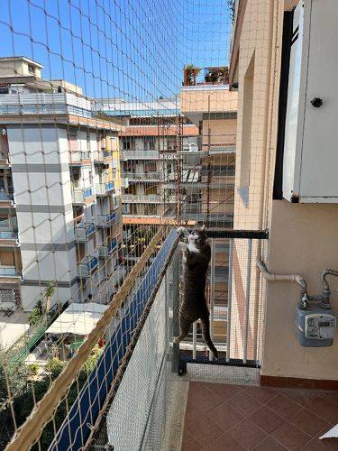 Installazione reti anticaduta PerGatto