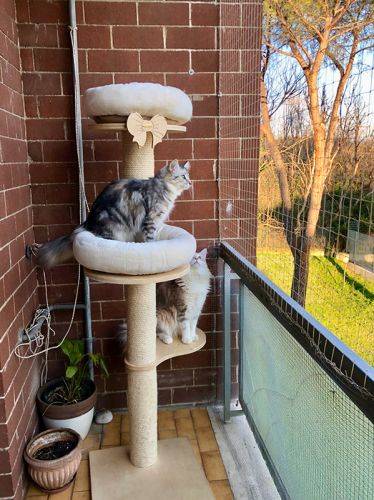 Installazione reti anticaduta PerGatto®